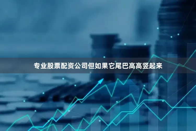 专业股票配资公司但如果它尾巴高高竖起来