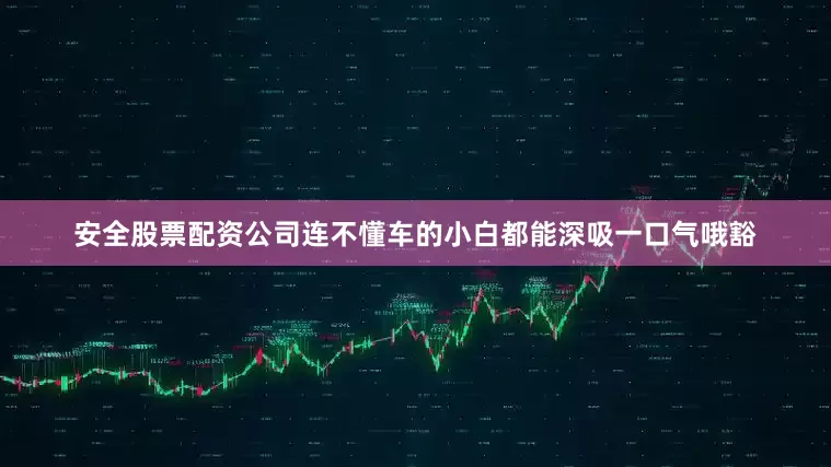 安全股票配资公司连不懂车的小白都能深吸一口气哦豁