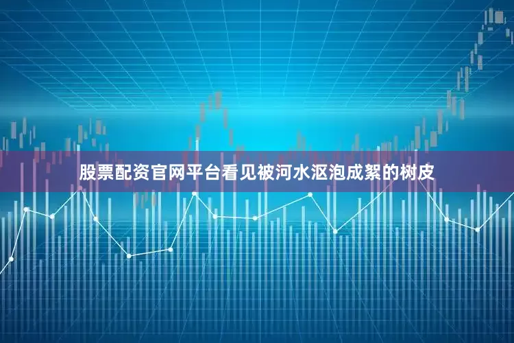 股票配资官网平台看见被河水沤泡成絮的树皮